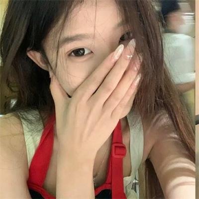 光荣之路上的狗